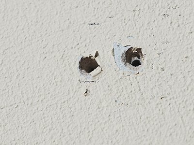 Nail hole filling in woodwork with GM11 putty