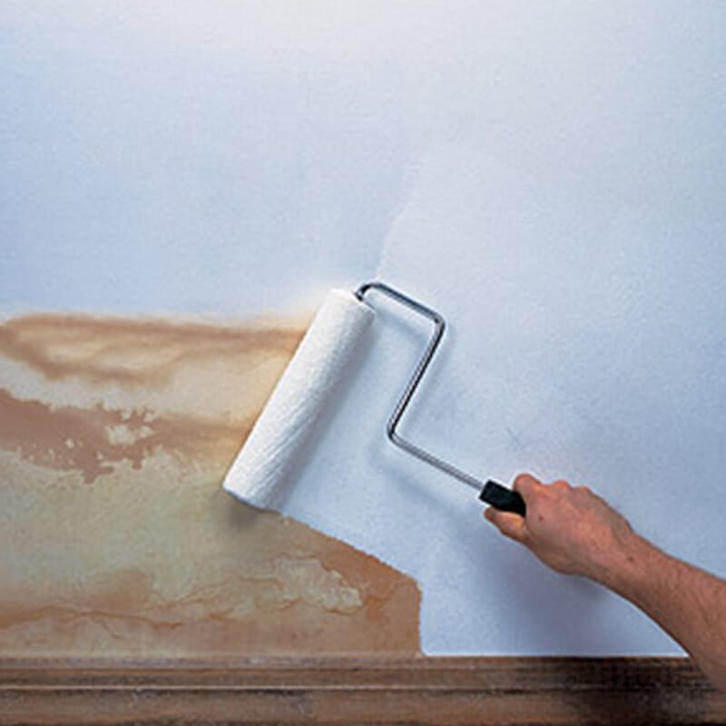 S3 Primer Application Process